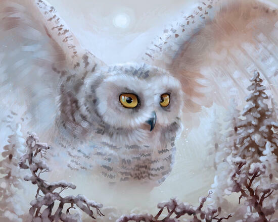 Алмазная мозаика 40x50 2KMB-3848