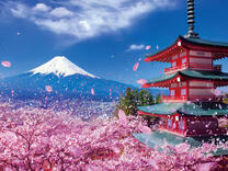 Без бренда «2KSB-7277» в Челябинске