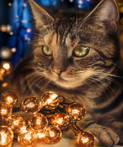 Без бренда «2KXSB-0678» в Челябинске