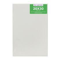 Без бренда «Коробка 80 шт.: Холст Две картинки на подрамнике 20X30» в Челябинске