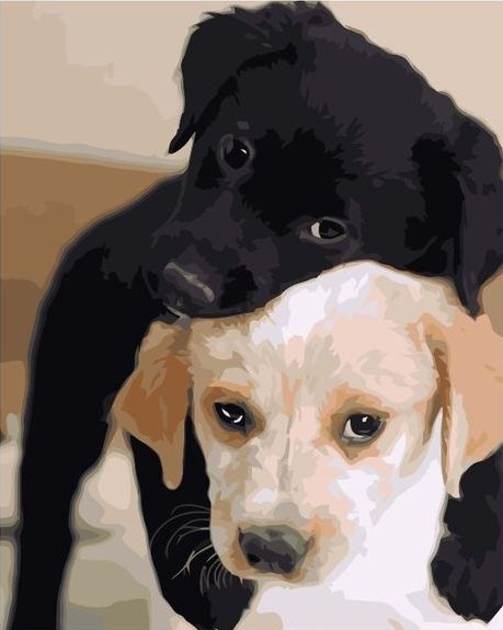 Картина по номерам 40x50 Два милых щенка лабрадора