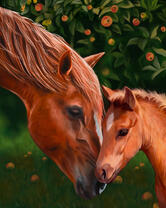 Мама лошадь с малышом