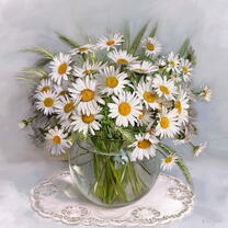 Без бренда «Букет свежих ромашек» в Челябинске