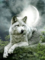 Без бренда «Коробка 25 шт. картин по номерам BOX25-GX21058» в Челябинске