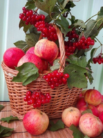 Без бренда «Коробка 25 шт. картин по номерам BOX25-GX5174» в Челябинске