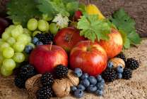 Без бренда «Фрукты, ягоды и орехи» в Челябинске