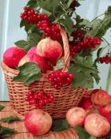 Без бренда «Плетёная корзина с калиной и яблоками» в Челябинске