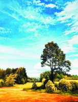 Без бренда «Осенний пейзаж с голубым небом» в Челябинске в интернет-магазине  Без бренда «Осенний пейзаж с голубым небом» в Челябинске