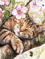 Без бренда «Волосатый котик спит на ветви яблони» в Челябинске в интернет-магазине  Без бренда «Волосатый котик спит на ветви яблони» в Челябинске